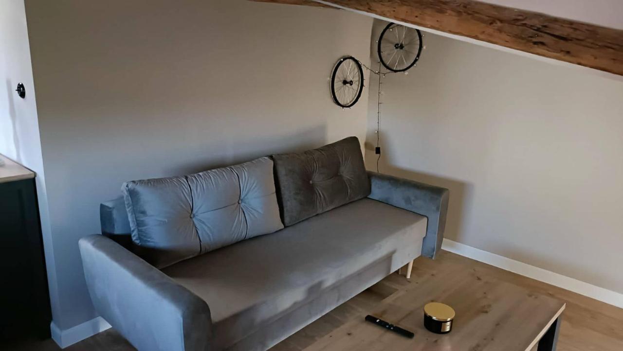 דירות Stary Toruń Loft Szewska 6 - Old Town - Parking Free מראה חיצוני תמונה