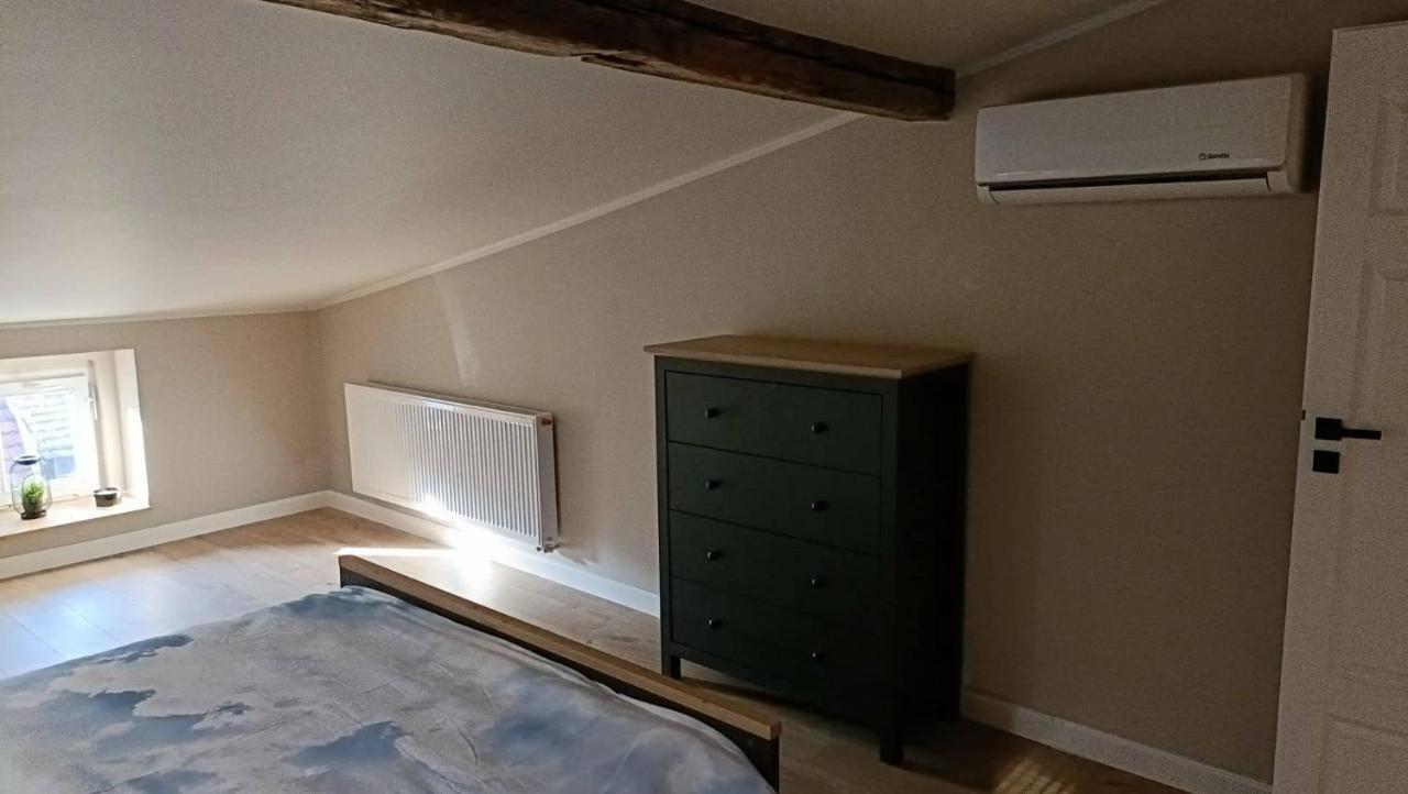 דירות Stary Toruń Loft Szewska 6 - Old Town - Parking Free מראה חיצוני תמונה
